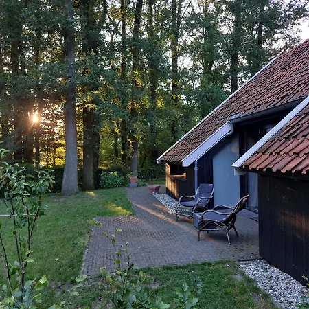 Vos Kotten